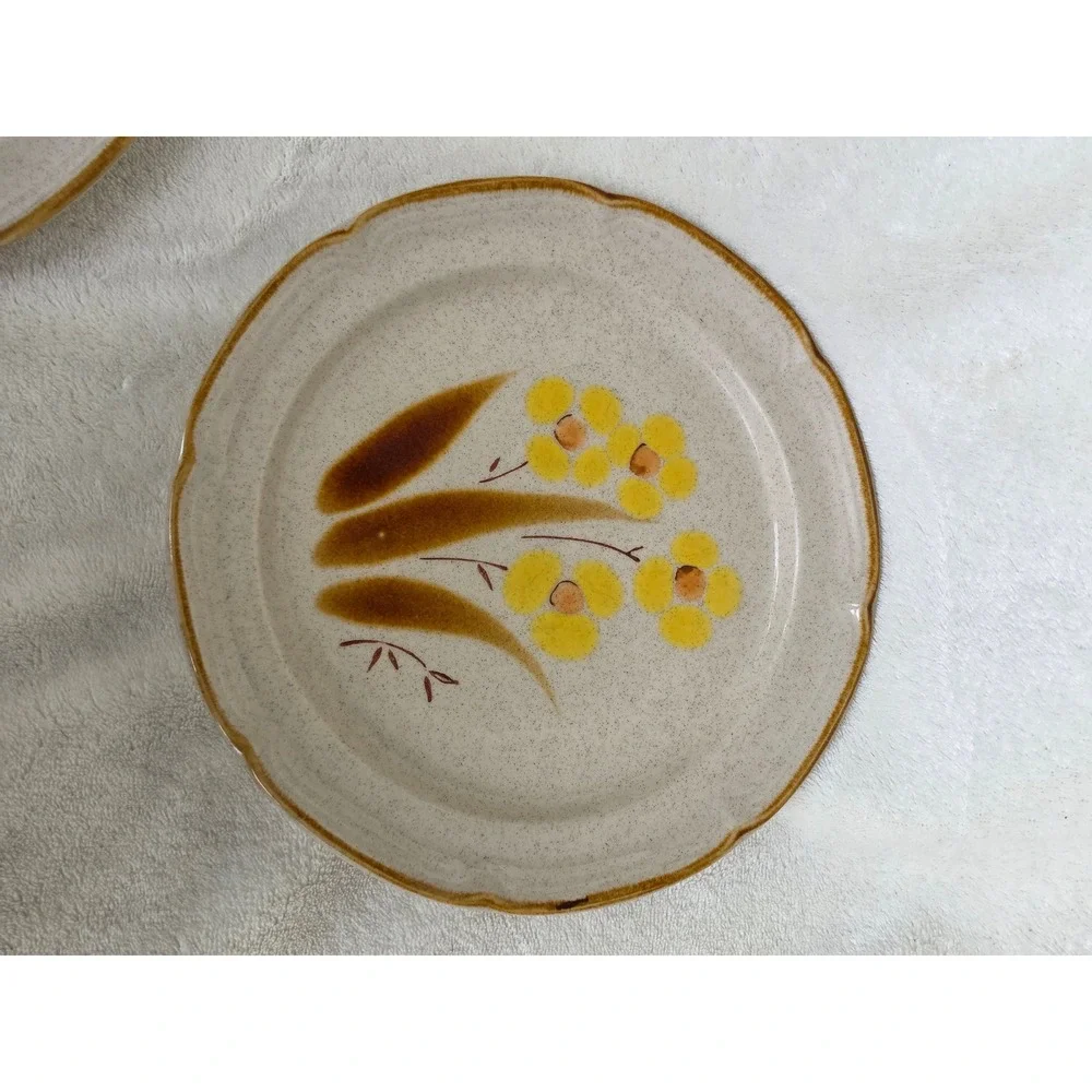 Vintage Hearthside Wellington Stoneware Plates Hand Painted Japan Floral Set 2